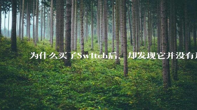为什么买了Switch后，却发现它并没有那么好玩？