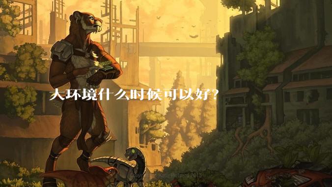 大环境什么时候可以好？