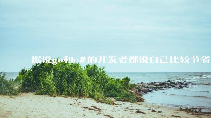 据说go和c#的开发者都说自己比较节省内存，你们认为呢？