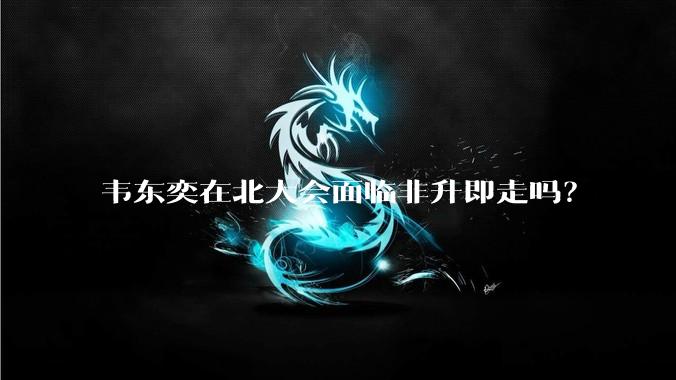 韦东奕在北大会面临非升即走吗？