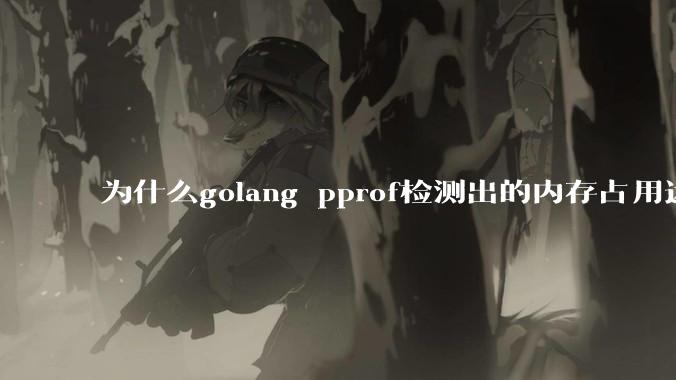 为什么golang pprof检测出的内存占用远小于top命令查看到的内存占用量？