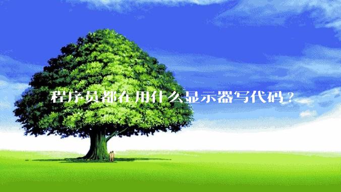 程序员都在用什么显示器写代码?